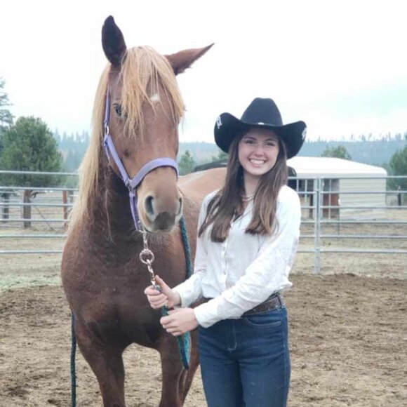 Horse tack - Picture 2 of 2